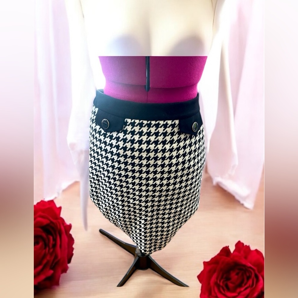 Ann Taylor skirt
